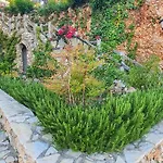 Aqua Vlorë